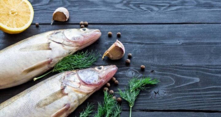 Alaskan Seiti: The Versatile White Fish You Should Know About