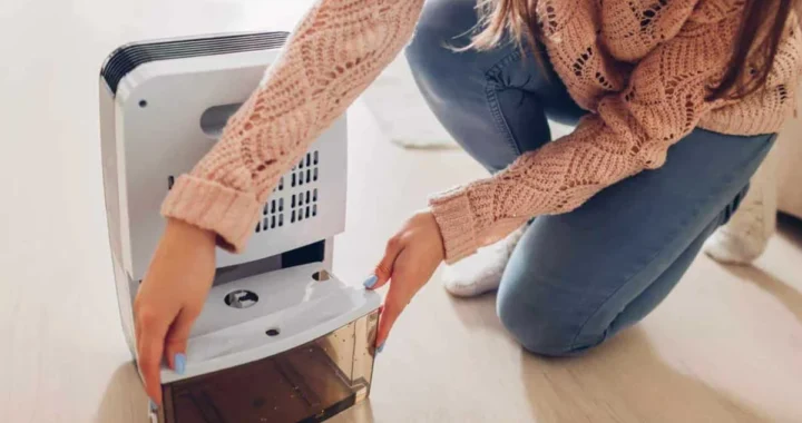 Can Dehumidifiers Help Prevent Dust Mites? Science Explained