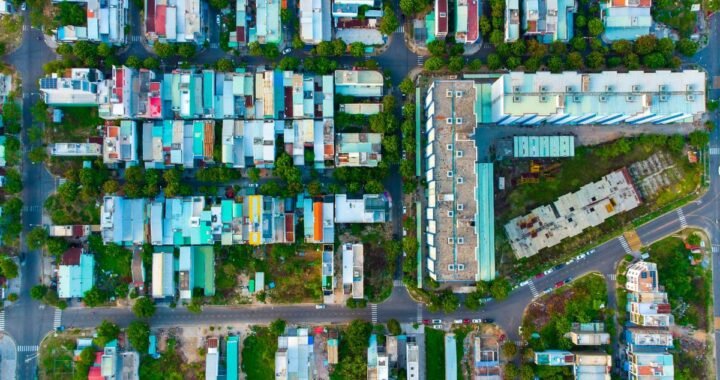 City Life, Wild Rules: How Urban Areas Affect Wildlife Behavior