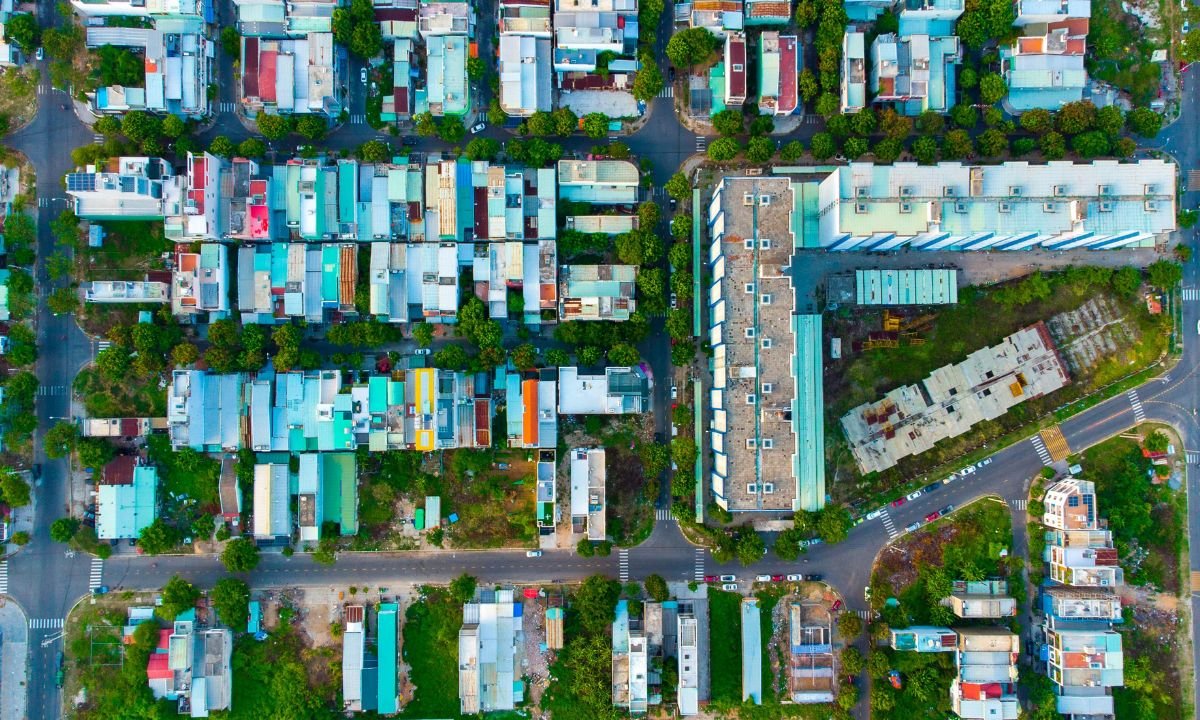 How Urban Areas Affect Wildlife Behavior