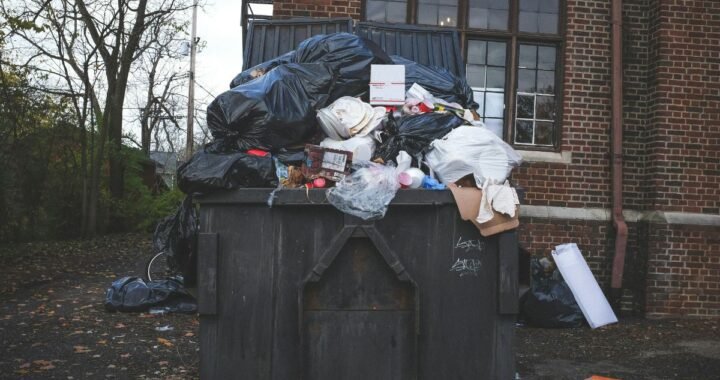 Ponderosa Hauling and Junk Removal: Gulf Coast Experts
